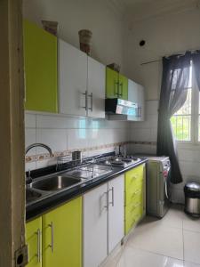 a kitchen with green and white cabinets and a sink at Casa Mackenna in Valparaíso