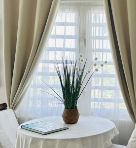 a table with a plant on it in front of a window at Deja-Blue studio-pool in Simpson Bay