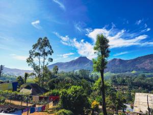 a tree on a hill with mountains in the background at Angel's Cottage in Munnar
