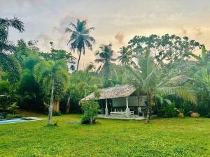 a house in the middle of a field with palm trees at Idam Villa in Akmimana