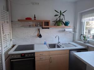 a kitchen with a sink and a stove at Ferienwohnung Rose in Altenkunstadt