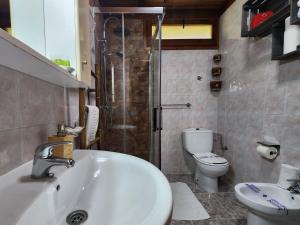 a bathroom with a sink and a toilet at Rincón de Madagascar VV-2192-AS in Arriondas +32 photos