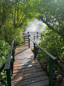 a wooden boardwalk leading down to a misty trail at Minos Haven in Trafalgar