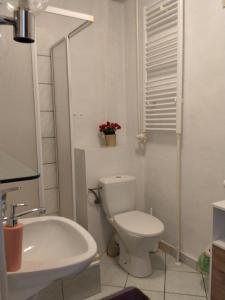 a white bathroom with a toilet and a sink at Zacisze Sokolec in Ludwikowice Kłodzkie