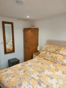 a bedroom with a bed and a dresser and a mirror at Townfield Lodge in Bury Saint Edmunds