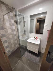 a bathroom with a shower and a sink and a mirror at Master apartman in Podgorica