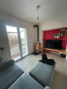 a dog laying on the floor in a living room at Casa Riva Us in Dussoi