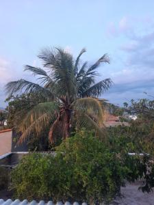 a palm tree on the side of a building at Casa - 1 Suíte e 2 Quartos in Saquarema