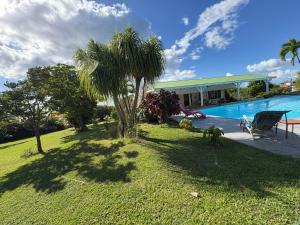 a yard with a palm tree and a swimming pool at Le jardin des B-joux - Piscine privée - 3 ch et 3 sdb indépendantes - Grand jardin arboré - Vue mer et Pitons du Carbet - 10 mn de la plage - Propriété fermée - Aucun vis à vis in Le Morne-Vert