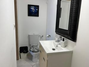 a bathroom with a toilet and a sink and a mirror at Résidence P&C Studio élégant proche de Paris in Neuilly-sur-Marne