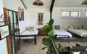 a room with two beds and a plant at Marble Nights Damoi Parys in Vosburg