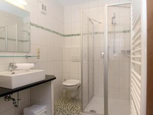a bathroom with a shower and a toilet and a sink at Erwachsenen Aparthotel DER WIESERHOF Wunderschöne Einzellage in Bad Füssing
