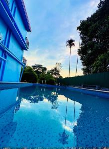 a pool of water with a palm tree and a building at Rivera Holiday Home in Vythiri