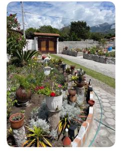 a garden with many pots of plants and flowers at Quinta 4 esquinas cerca de Chachimbiro in Hacienda San Clemente