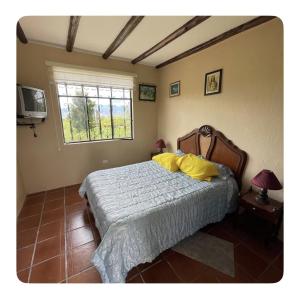 a bedroom with a bed with yellow pillows and a window at Quinta 4 esquinas cerca de Chachimbiro in Hacienda San Clemente