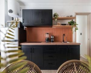 a kitchen with black cabinets and a sink at Lofts Álvaro Obregón in Mexico City