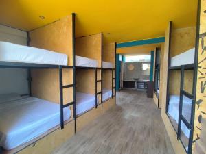 a room with four bunk beds in a room at Shambala Hostel in Huacachina