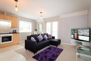 ein Wohnzimmer mit einem schwarzen Sofa und einem TV in der Unterkunft Beech Lodge Apartments, 2 Bed Apts close to Headington Hospitals in Oxford