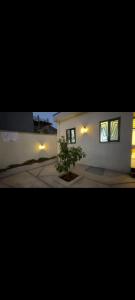 a house with two windows and a tree in front of it at Guest house in Addis Ababa