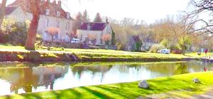 ein Teich vor einem Haus mit einem Haus in der Unterkunft L écluse in Nemours