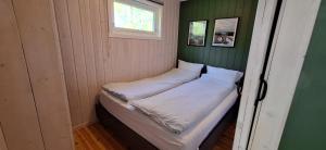 a small bed in a green room with a window at Nordfjordcabins BLUE in Utvik