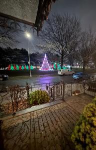 a christmas tree in a parking lot at night at Eleni’s Charming Studio in North Beach