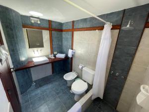 a bathroom with a toilet and a shower at Balcones del Pintor in Maimará