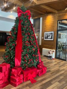 a christmas tree in a room with red presents at Mia's Favorite Hotel in Mavrovo