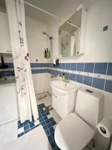 a bathroom with a toilet and a sink and a mirror at Central Studio Apartment in Pori +43 photos