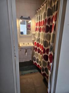 a small bathroom with a sink and a shower curtain at Depto arlegui centro in Viña del Mar