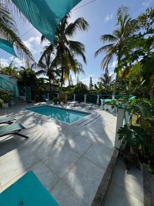 a swimming pool with palm trees in the background at Siloe Cove Hospedaje Campestre in San Andrés