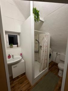 a bathroom with a shower and a sink and a toilet at Monteurwohnung, 1 Zimmer Apartment in Bad Essen