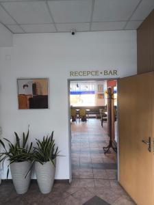 an entrance to an office with two potted plants at Penzion-BelBar Zlín in Zlín