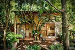 a house in the middle of a forest with trees at Casa navacoyan A in Malinalco