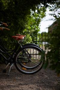 Jízda na kole v ubytování Karnelund Krog & Rum nebo okolí + 31 fotografií