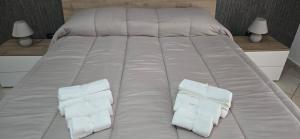 ein großes Bett mit zwei Kissen darauf in der Unterkunft Jo Garden in Ercolano