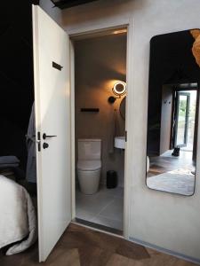 a bathroom with a toilet and a mirror at Taju Resort in Manniva