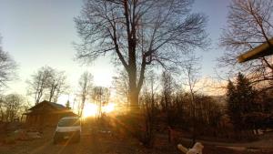 a van parked in front of a tree with the sun at Ospitalità Adocentyn in Guinadi
