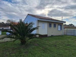 a small white house with a palm tree in a yard at Petite maison calme in Queyrac