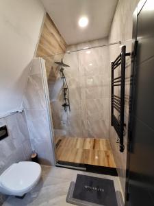 a small bathroom with a toilet and a shower at Panta Nature House in Dobrodoli +29 photos