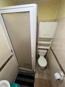 a small bathroom with a toilet and a shower at Hostal JV CABAÑA in Nogales