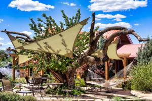 a tree with hammocks and chairs in a yard at The Loubird Inn in Escalante