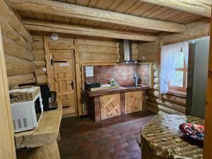 a kitchen in a log cabin with a sink and a microwave at Cabana Daria Arieseni in Arieşeni +15 photos