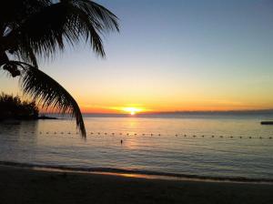 a sunset on a beach with a palm tree and the ocean at Pereybere Beach Home in Pereybere