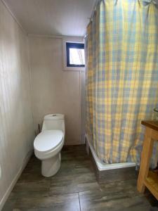 a bathroom with a toilet and a shower curtain at Tiny House en Malalcahuello - Tranquilidad total in Malalcahuello