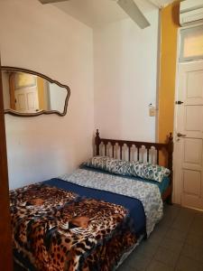 a bedroom with a bed with a leopard blanket on it at Departamento céntrico con in Posadas