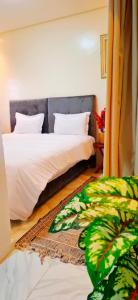 a bedroom with two beds and a rug at Dar Noureddine in Lalla Takerkoust