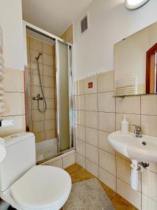 a bathroom with a toilet and a sink at Noclegi Sarenka in Murzasichle +63 photos