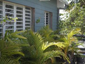 a house with a bunch of plants in front of it at Tropical holidays at Frantz in Port-Louis