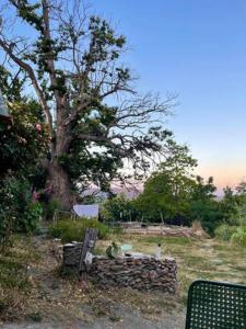 a tree and a bench next to a tree at Los Albergues in Pitres +9 photos